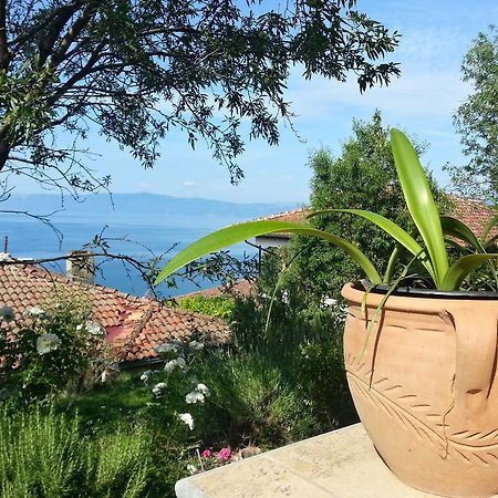 Maslov Apartments Ohrid Eksteriør bilde