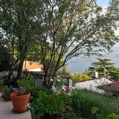 Maslov Apartments Ohrid Eksteriør bilde